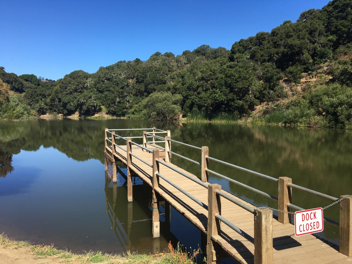 Water Dog Lake Park photo