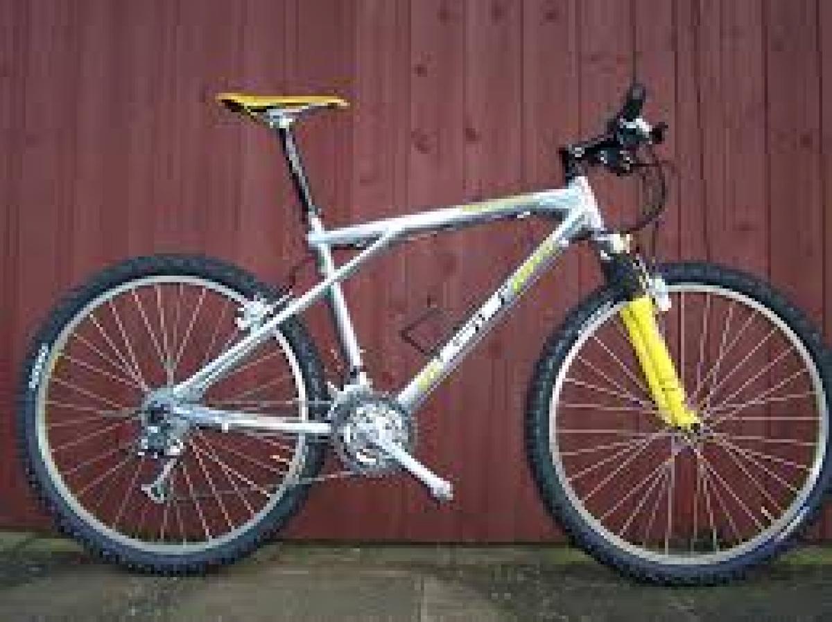 GT Avalanche 2.0 photo