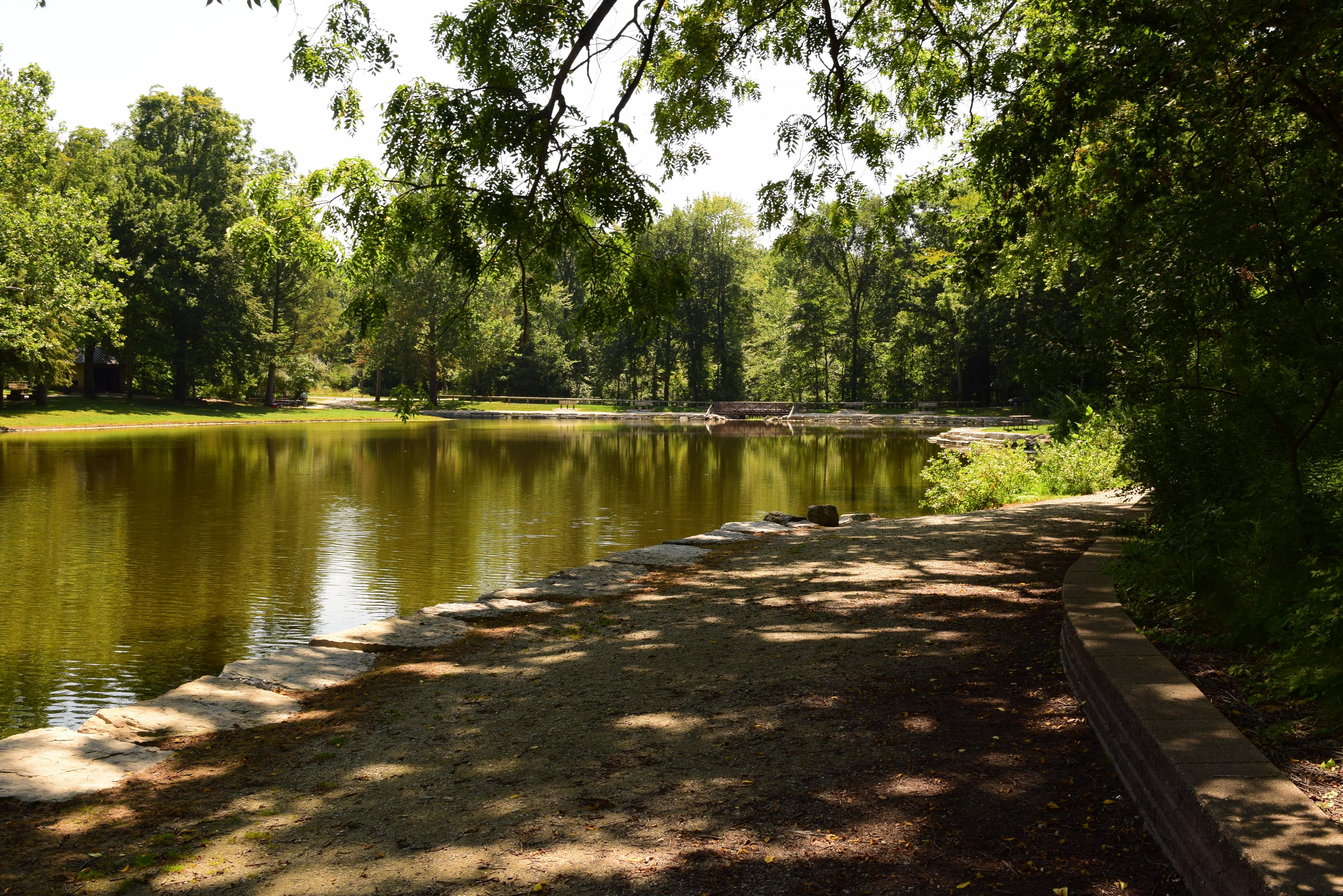 Oak Openings Beach Ridge Singletrack Trail photo