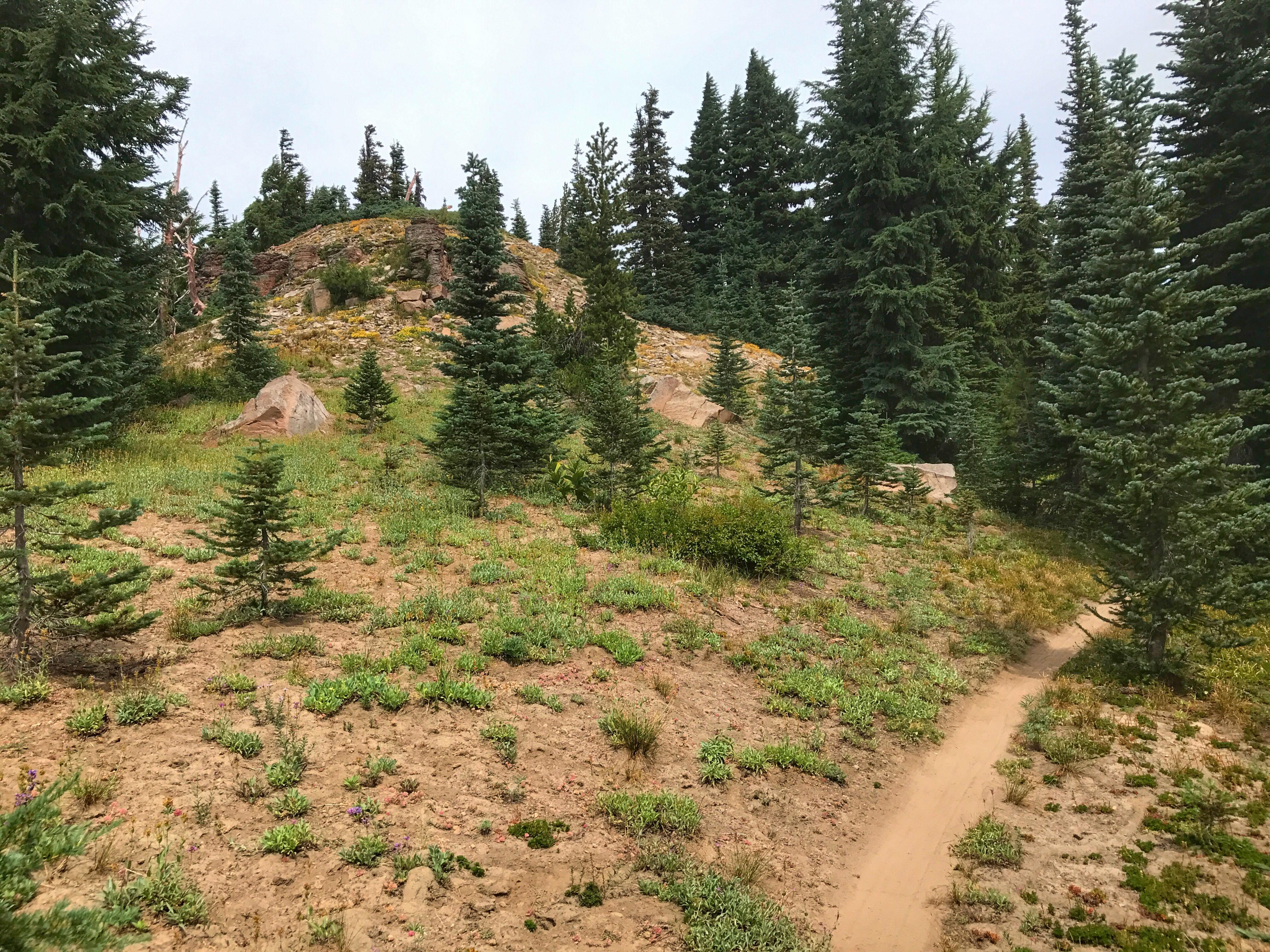 Gunsight Ridge photo || SINGLETRACKS.COM