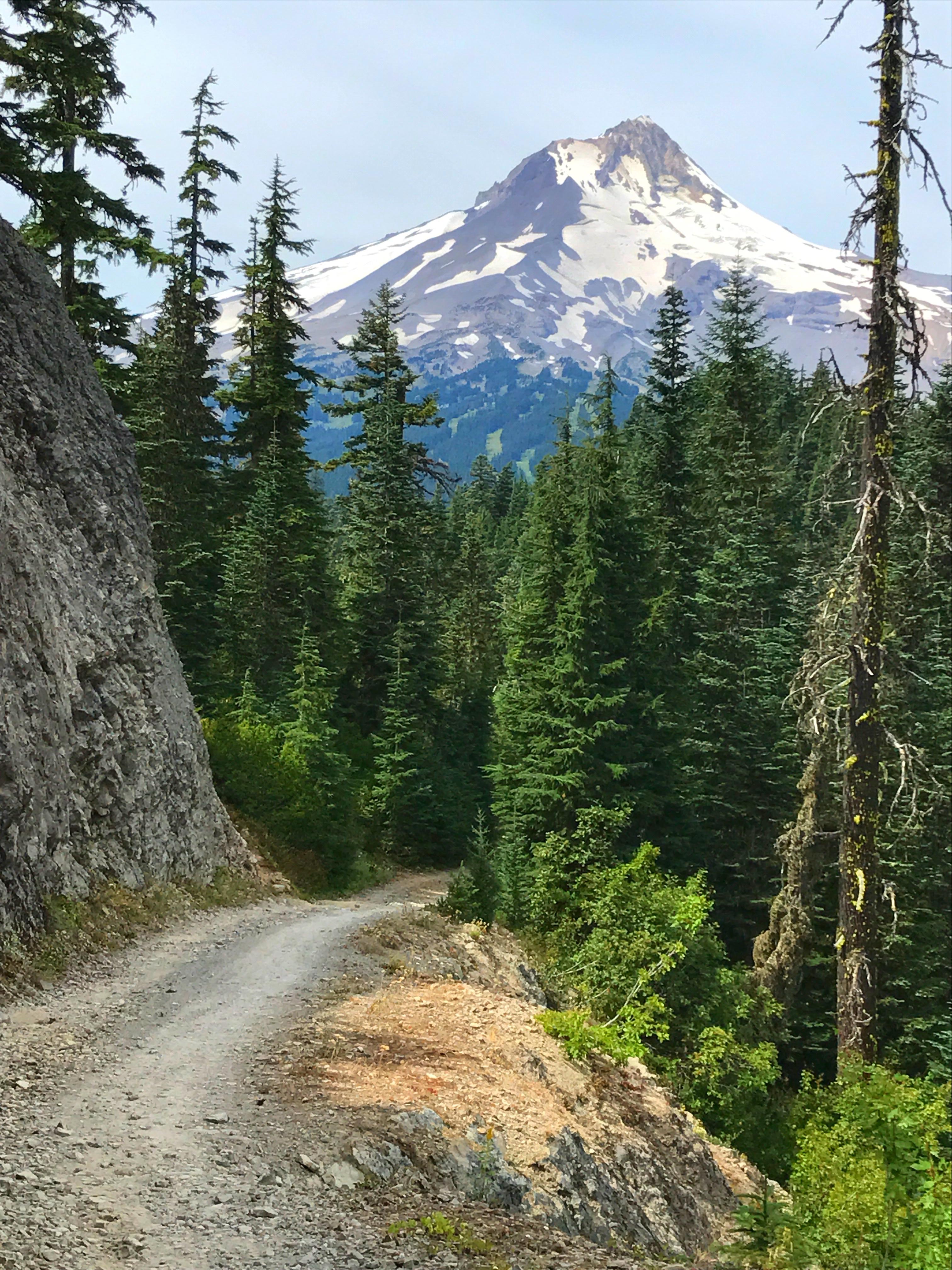 Gunsight Ridge photo || SINGLETRACKS.COM
