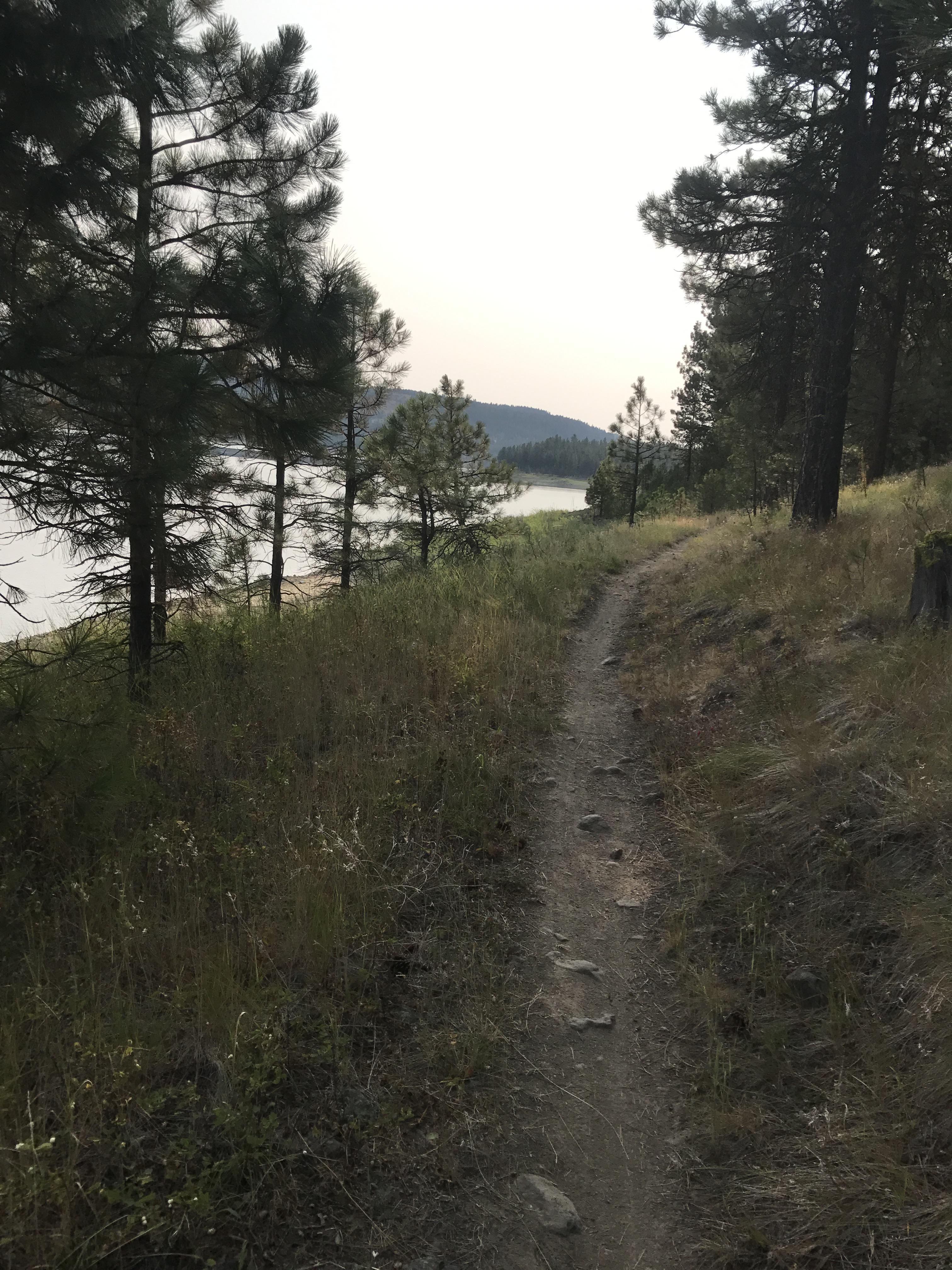 Phillips Lake South Shoreline Trail 1610 photo