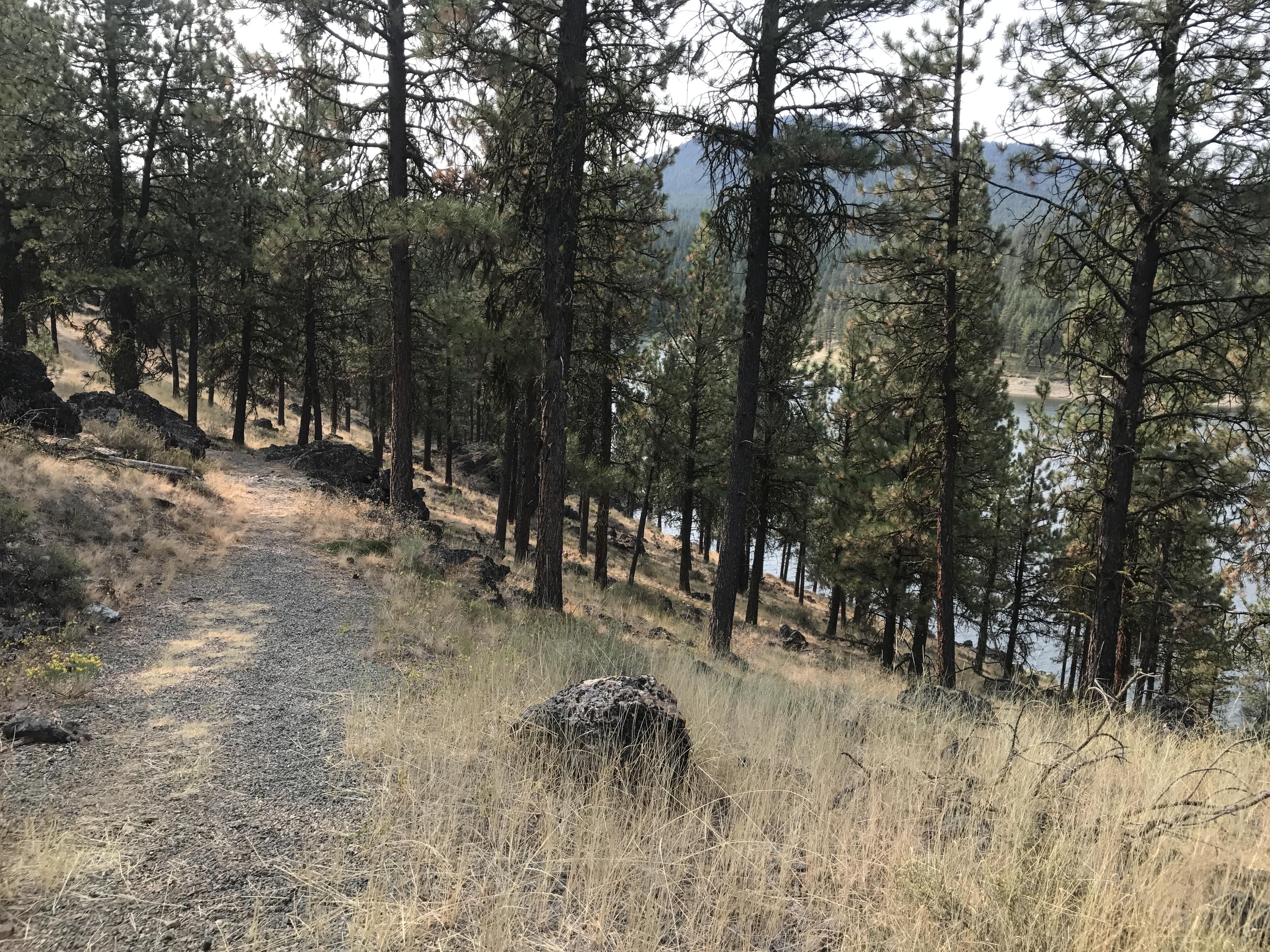 Phillips Lake North Shoreline Trail 1608 photo