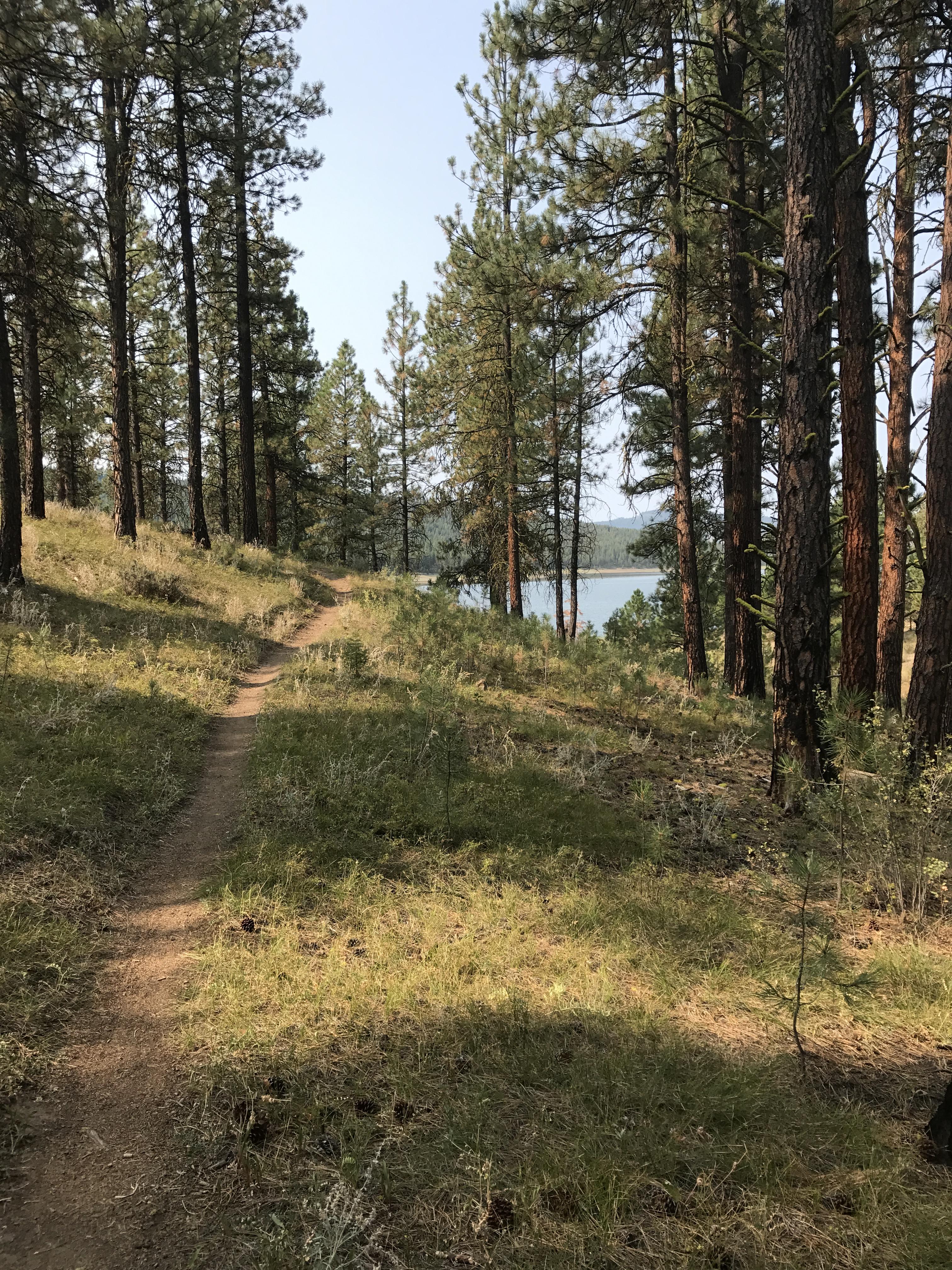 Phillips Lake North Shoreline Trail 1608 photo