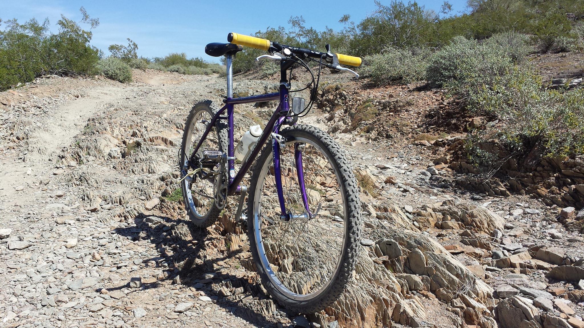 Trail 100 photo