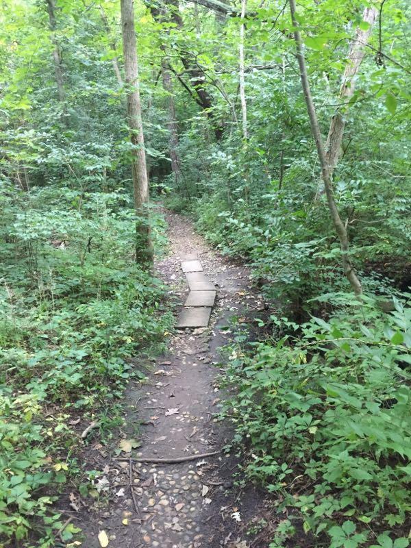 Rock Cut State Park photo