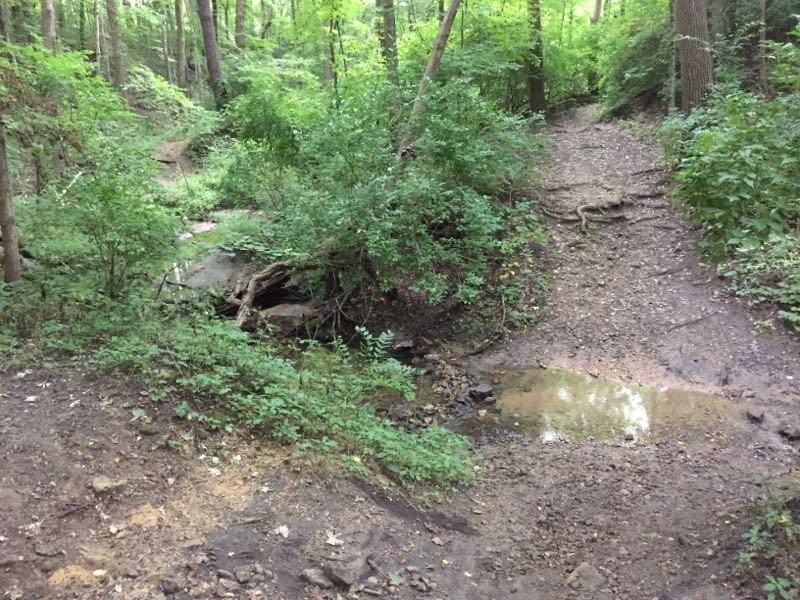 Rock Cut State Park photo