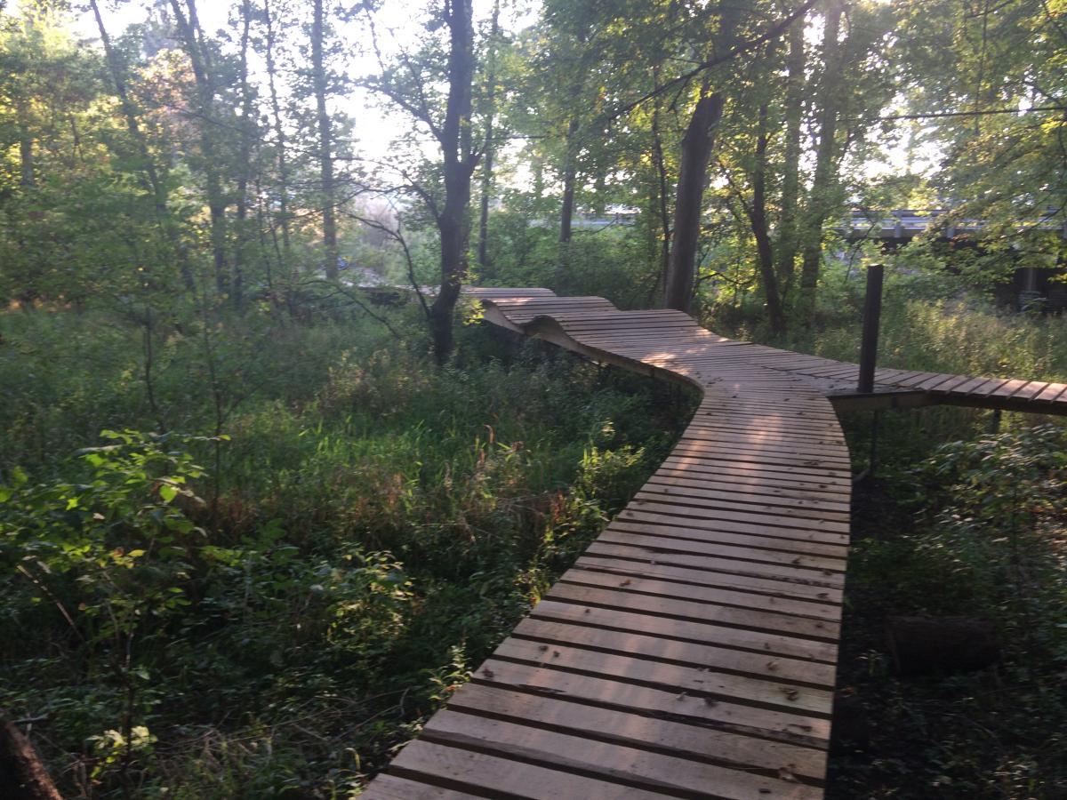oak openings mountain bike trail