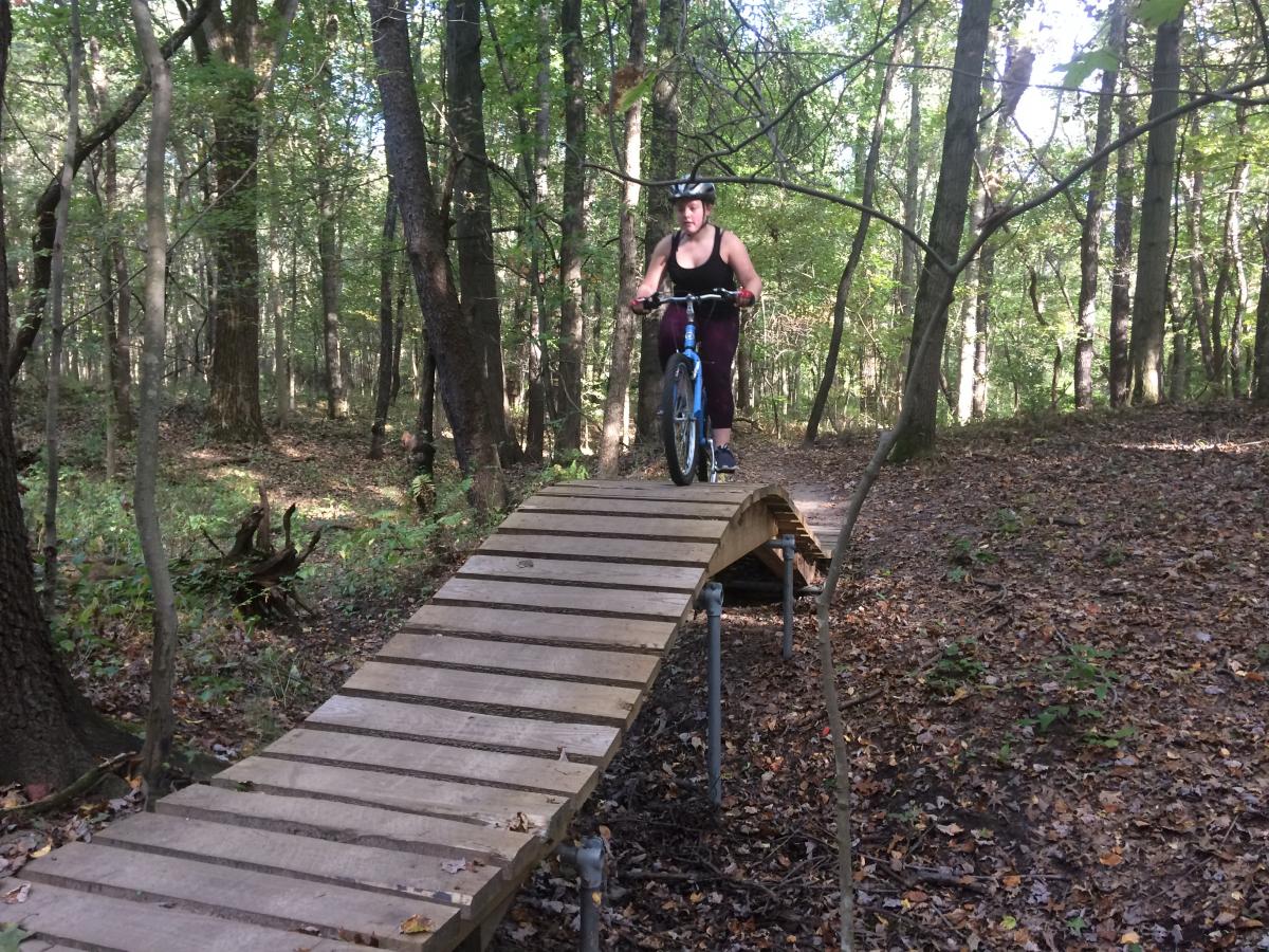 Oak Openings Beach Ridge Singletrack Trail photo