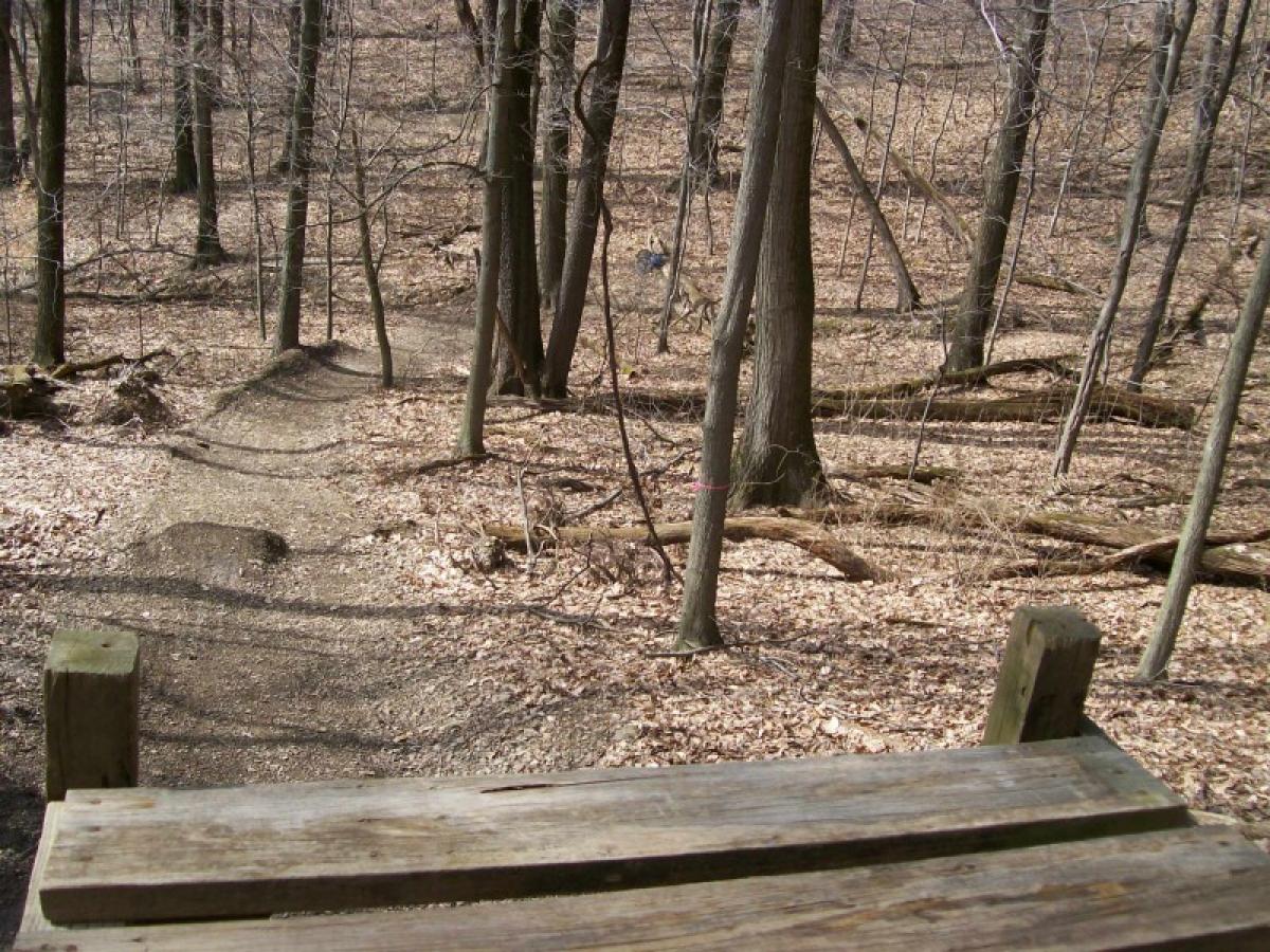 Horns Hill Park photo