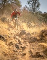 Exchequer Mountain Bike Park 