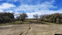 Jack London State Park 