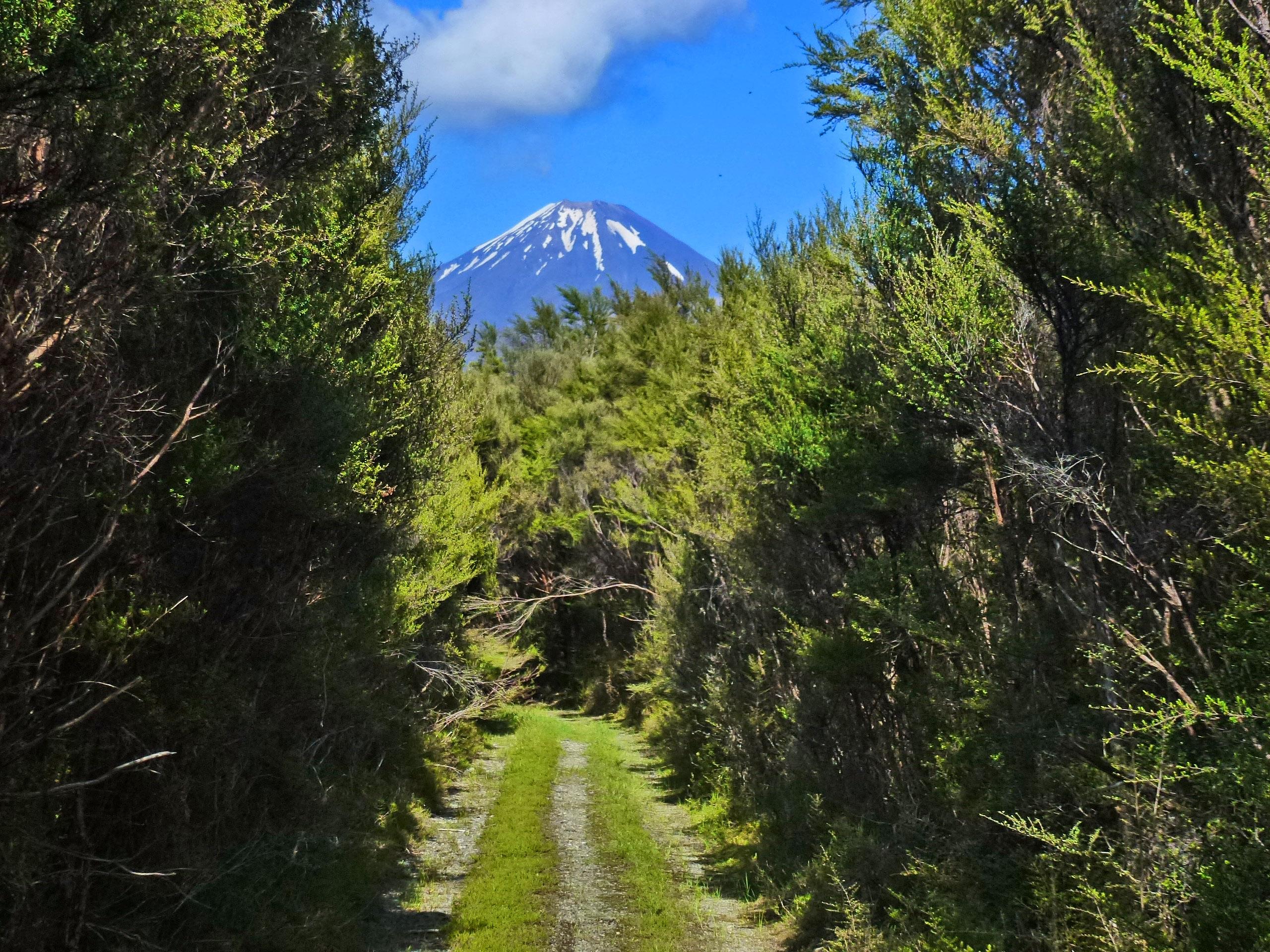 Pillars of Hercules photo