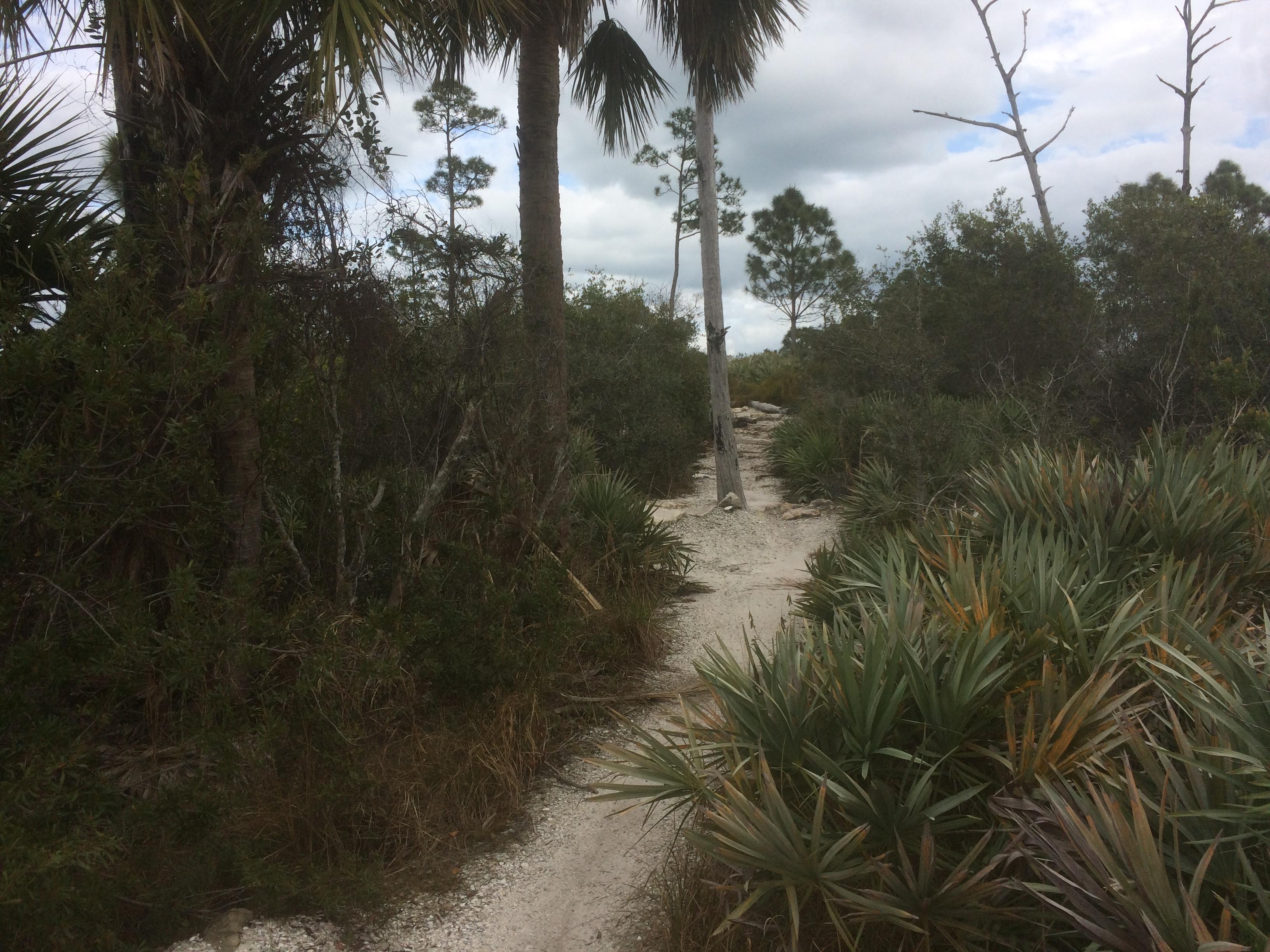 jonathan dickinson state park bike trails