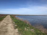 Alviso Marina County Park 