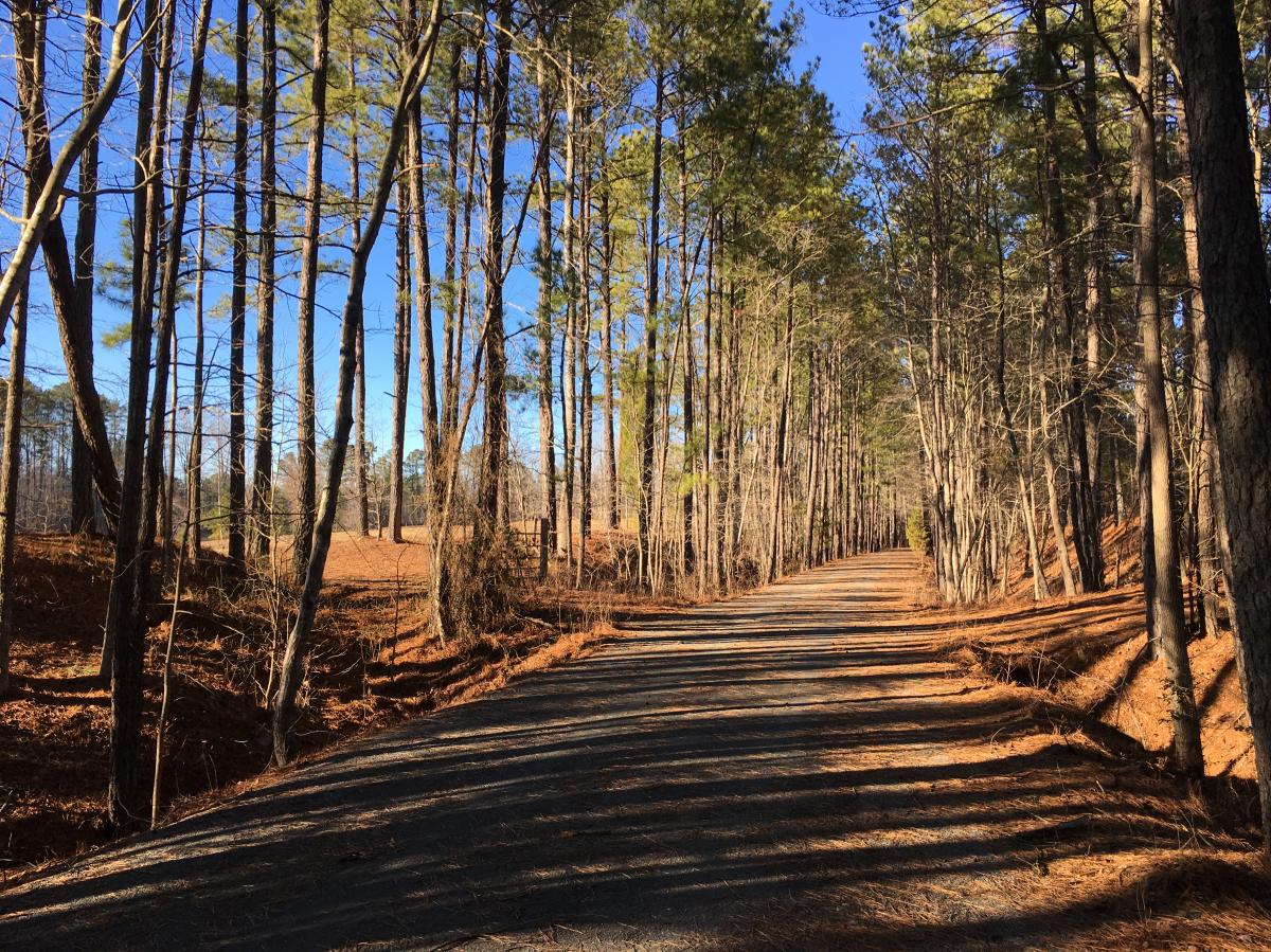 American Tobacco Trail Mountain - IMG 1956 