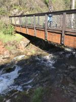 Skunk Hollow/ S Fork American River Trail 
