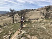 TMTA Lehigh trails 