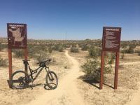 Edwards trails 