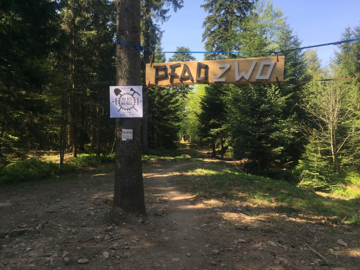 Single in alpirsbach