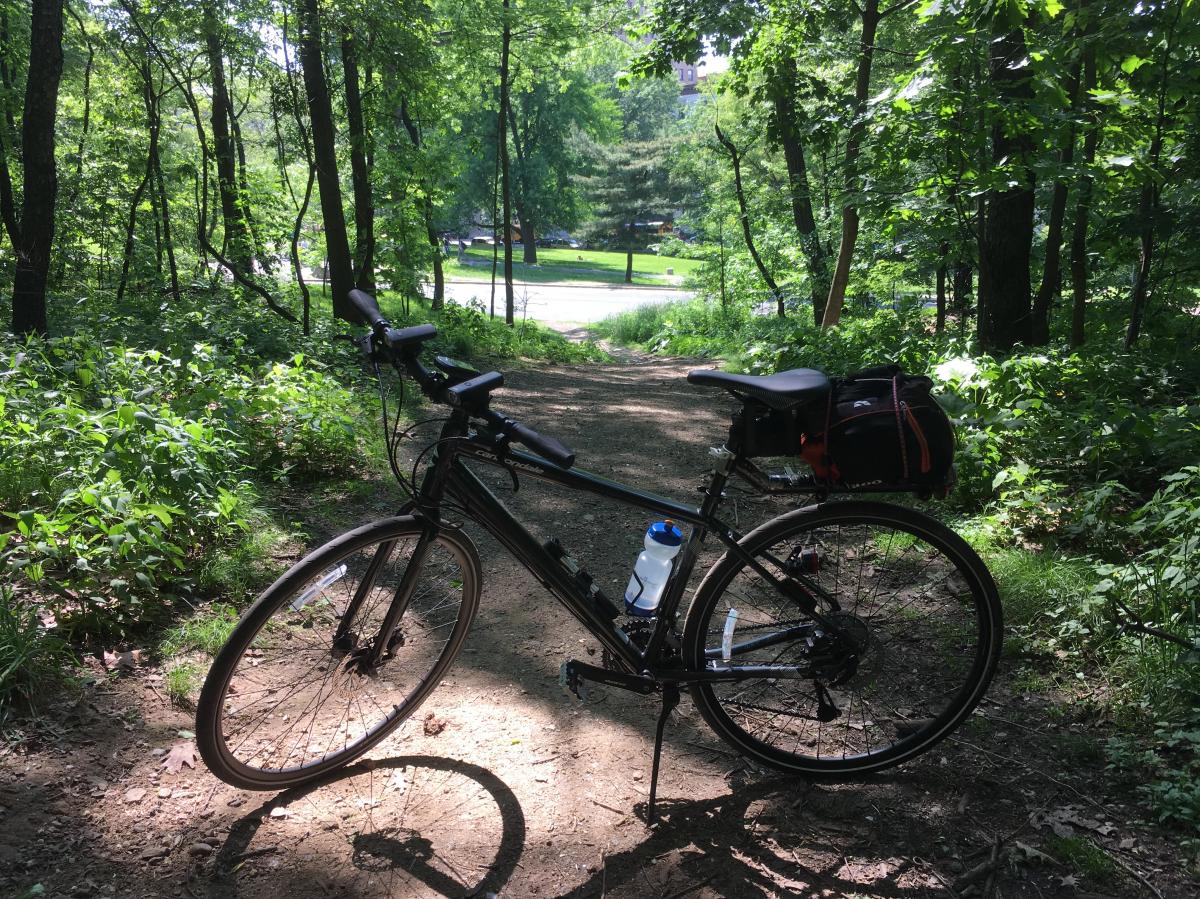 Central Park Green way Mountain Bike Trail in New York, New York