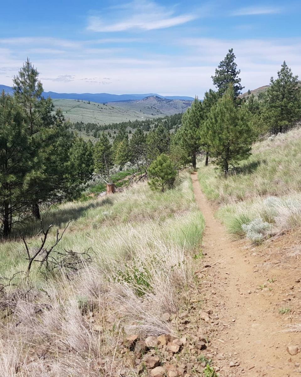 Kenna Cartwright Park photo