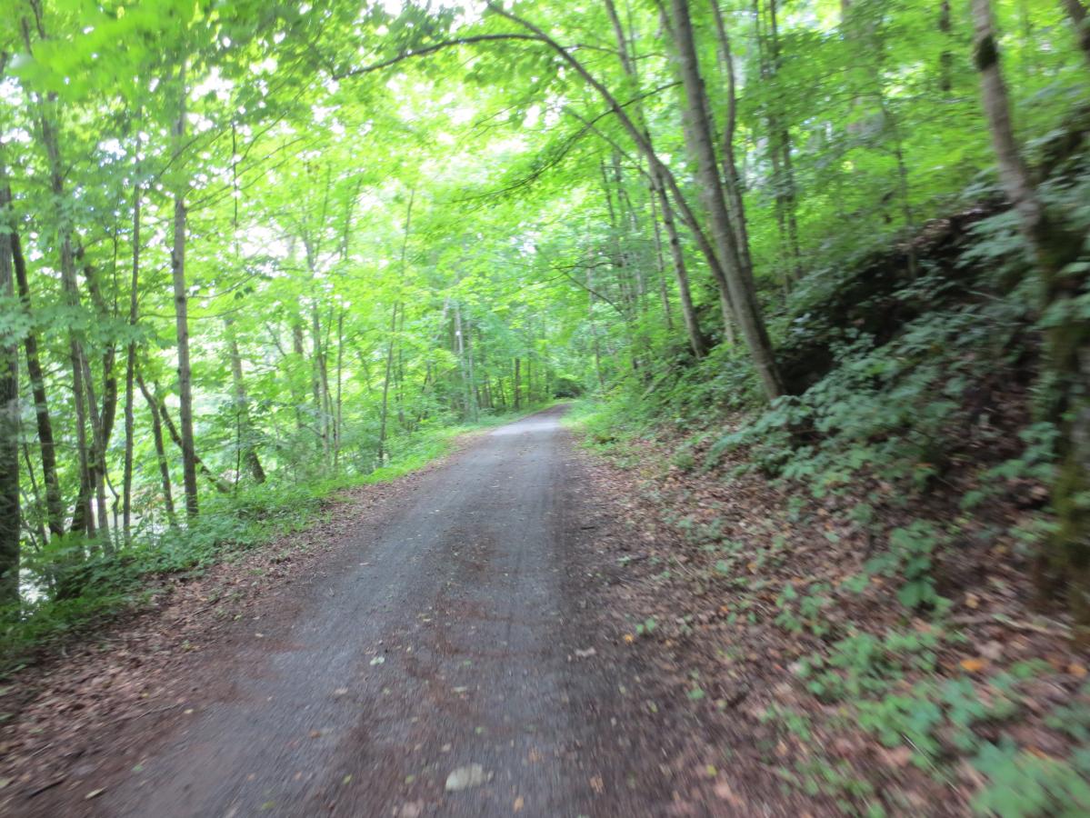 Virginia Creeper Trail photo