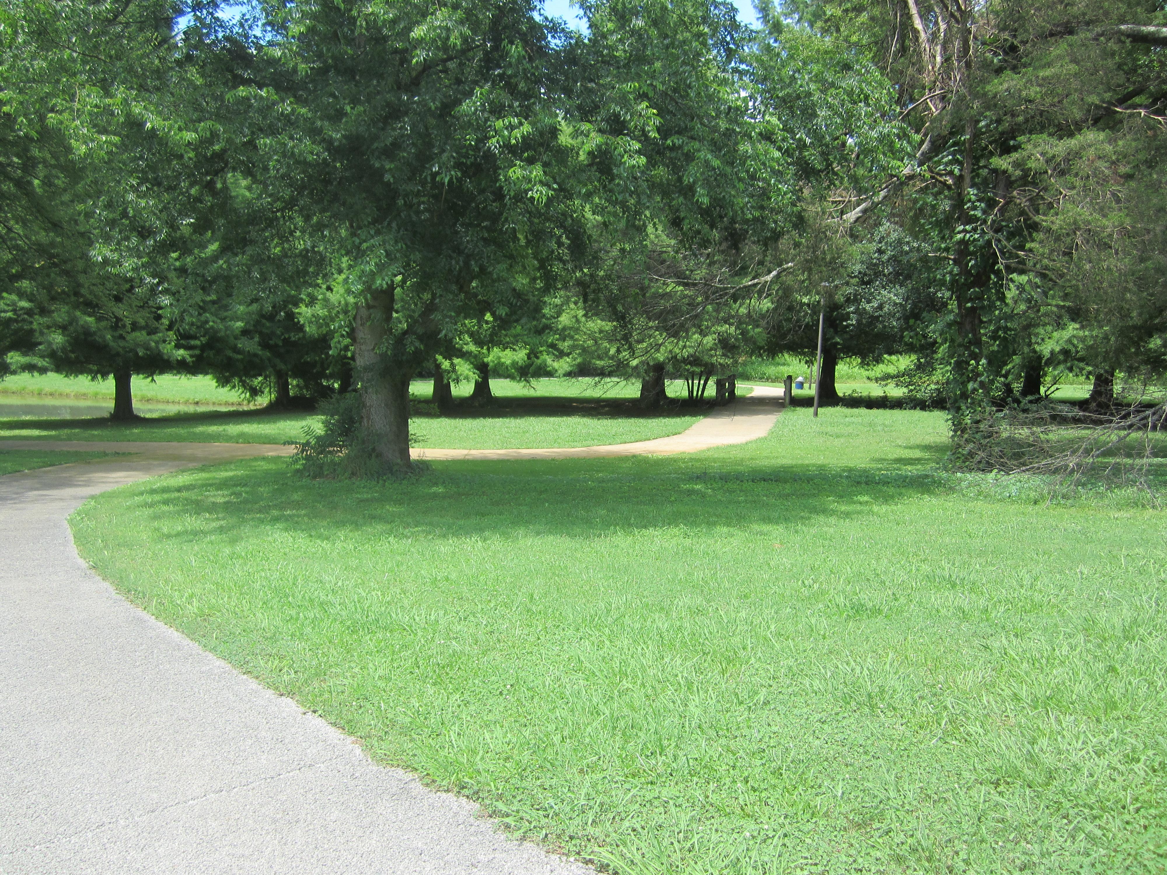 Athens Regional Park Trail photo