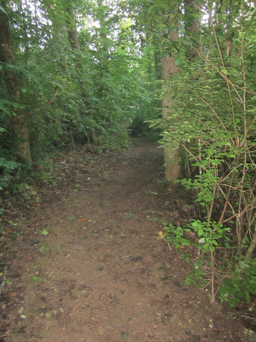 Athens Regional Park Trail photo