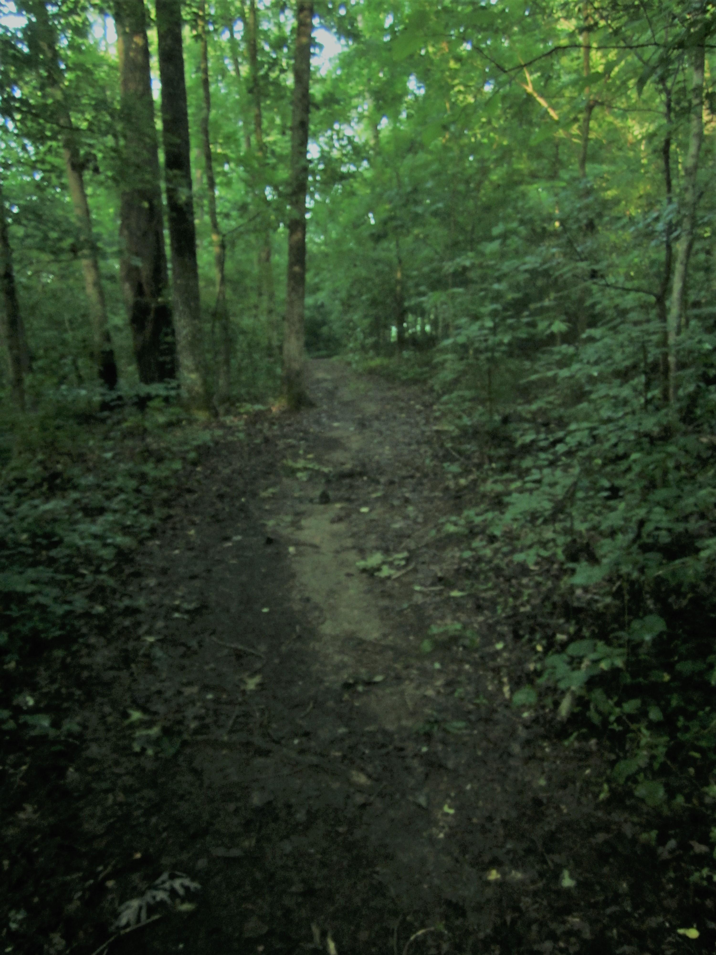 Athens Regional Park Trail photo