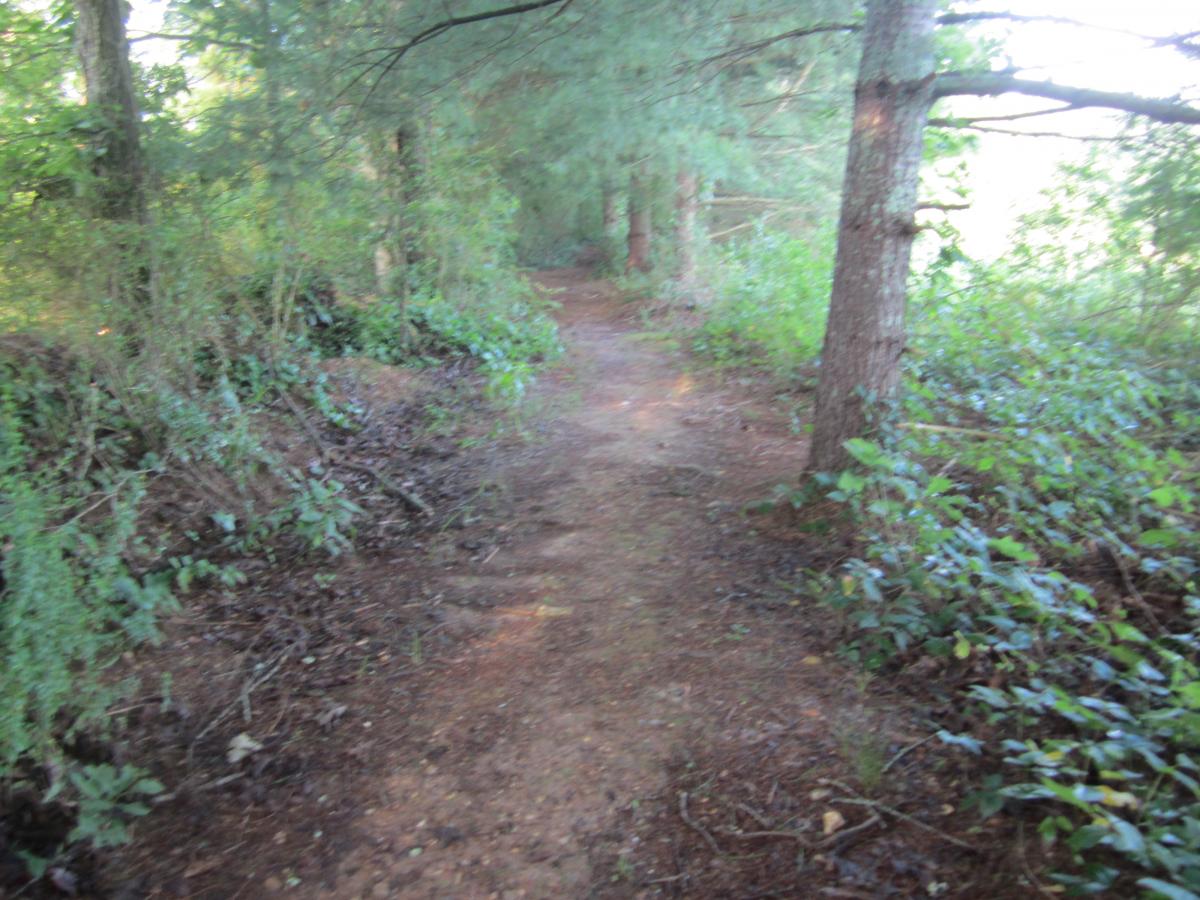 Athens Regional Park Trail photo