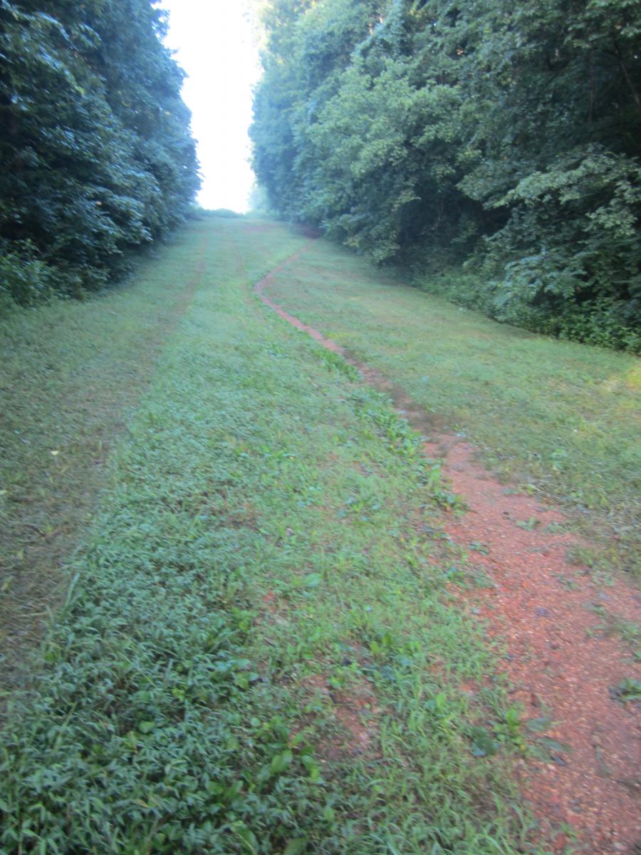 Athens Regional Park Trail photo