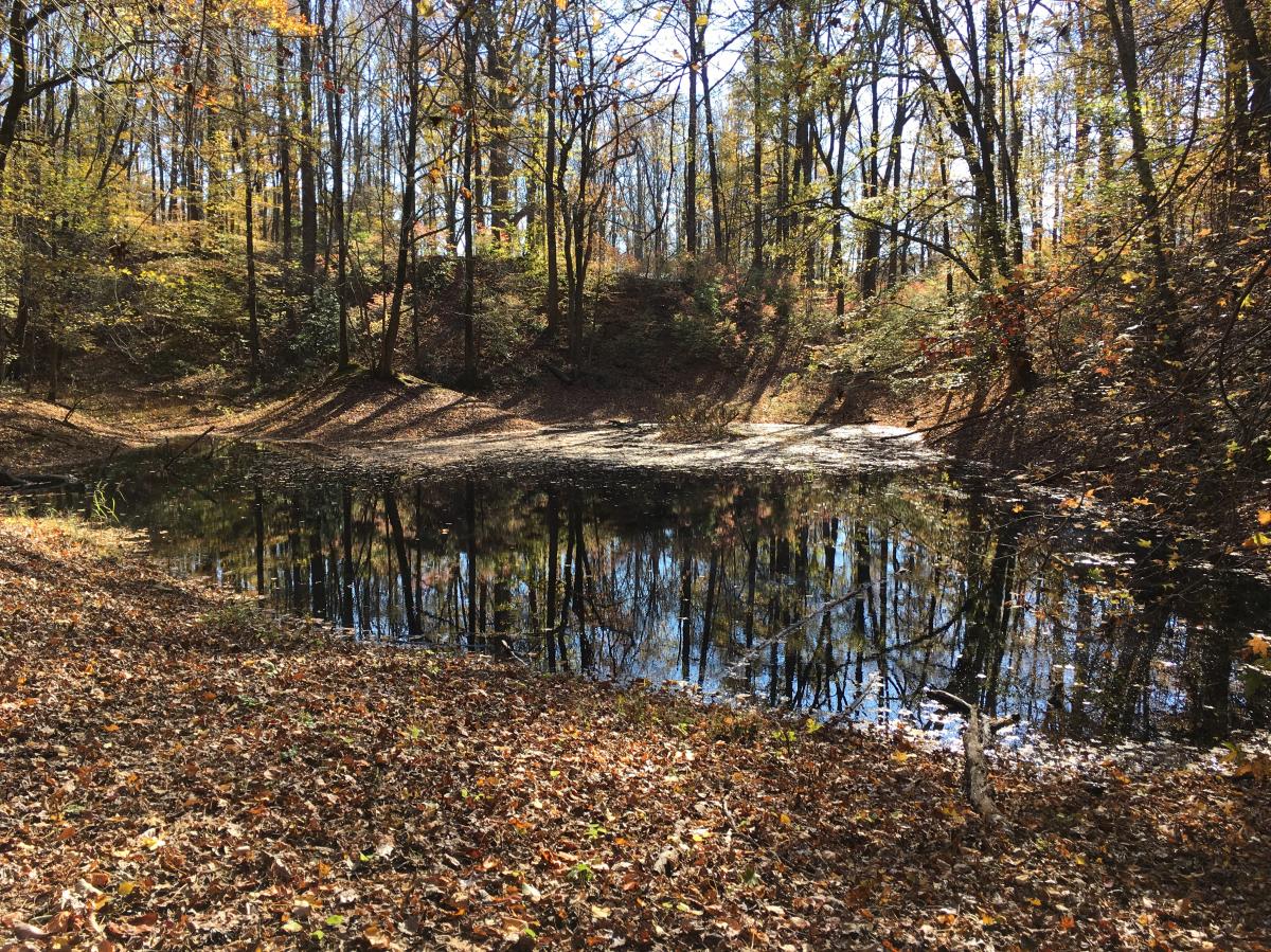 Iron Hill Recreation Area photo