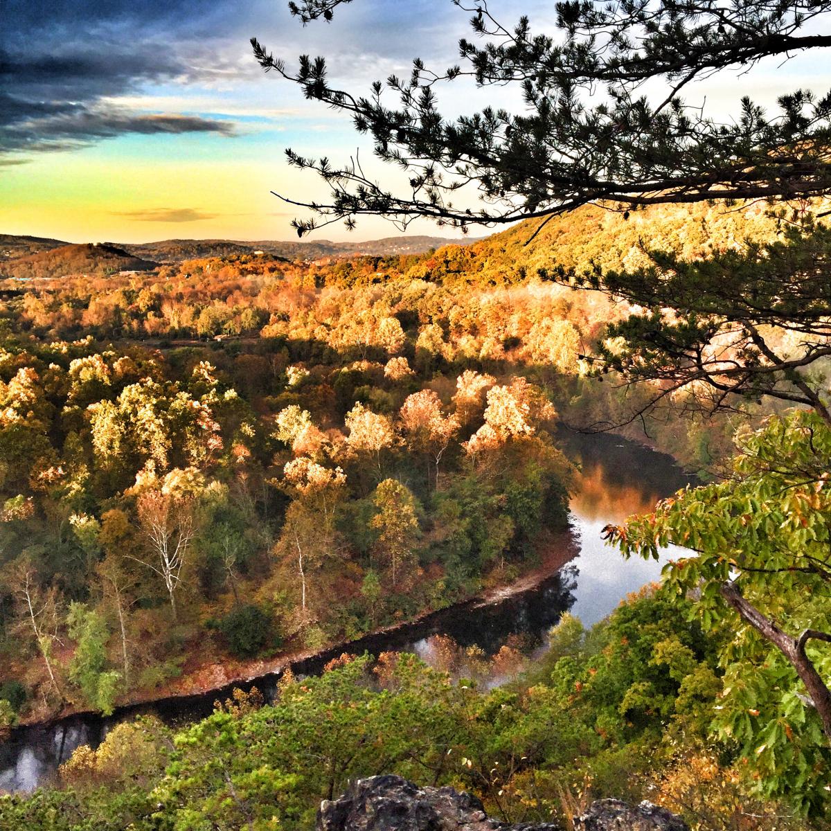 Neversink Mountain Mountain Bike Trail in Mount Penn, Pennsylvania