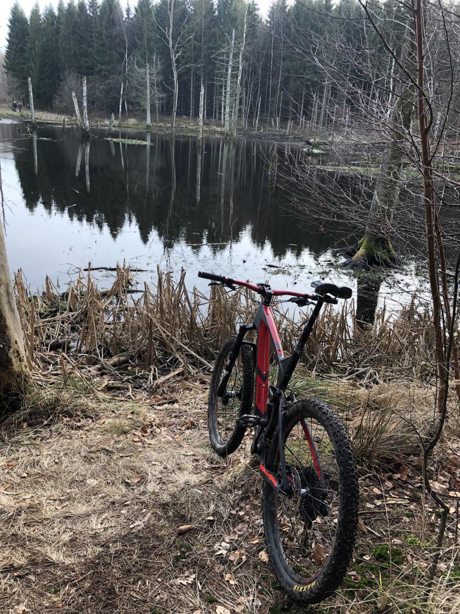 Roed rute Mountain Bike Trail in vaerloese, Denmark || SINGLETRACKS.COM