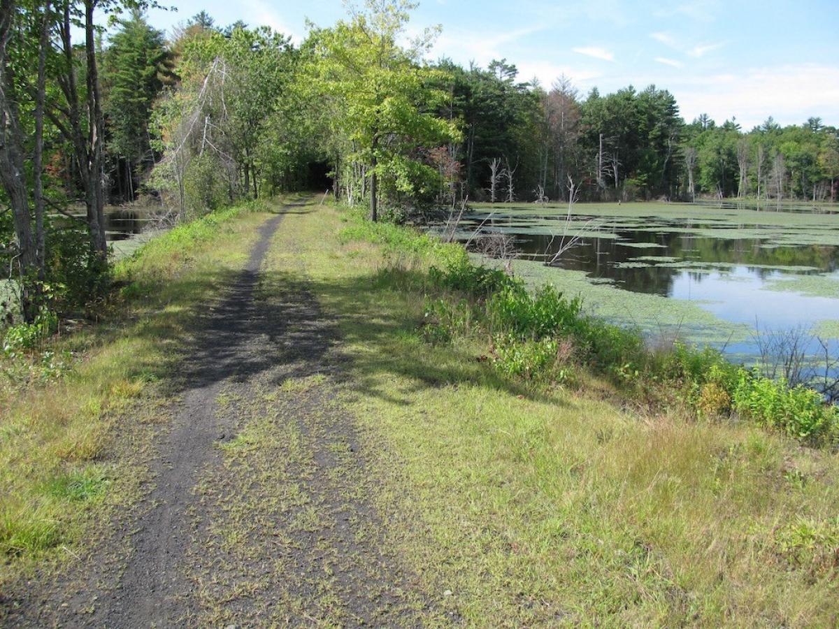 Rockingham Recreational Trail Mountain Bike Trail in Newfields, New