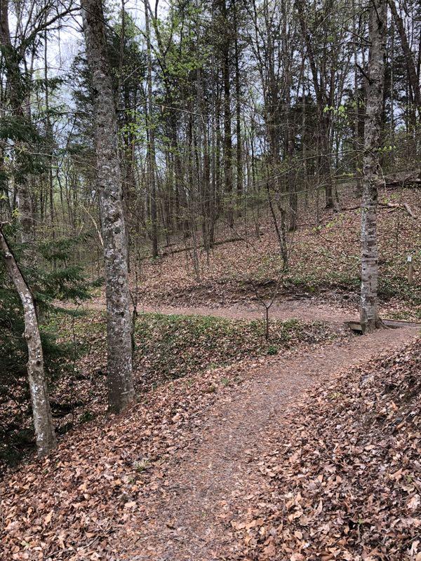 Eagle Scout Trail photo