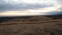 Montgomery Hill 