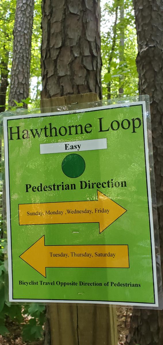 Lost Mountain Park Mountain Bike Trail in Powder Springs,