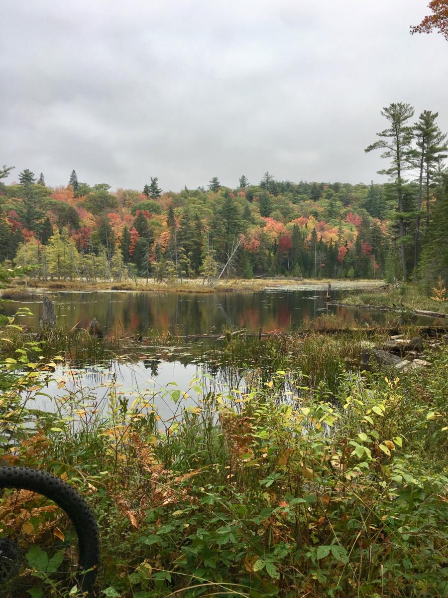 Byers Lake Mountain Bike Trail in Harcourt, Ontario
