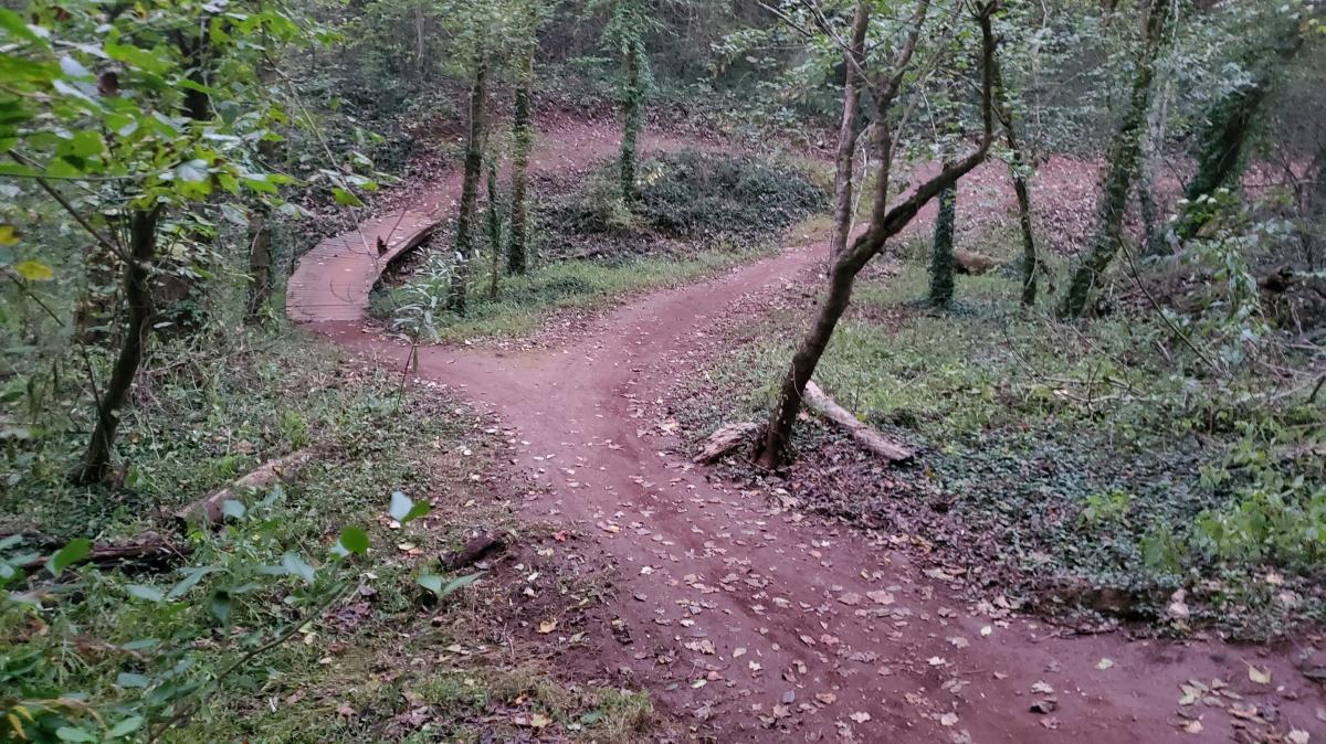 Baker Creek Preserve Mountain Bike Trail in Knoxville, Tennessee