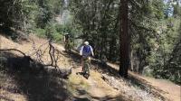 Little Green Valley Trail 