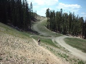 A winding dirt trail leads through a grassy hillside, surrounded by tall evergreen trees under a partly cloudy sky. A person is biking along the trail, showcasing an outdoor recreational activity in a natural setting. Keystone Resort Bike Park mountain bike trail.