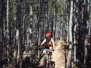 A cyclist navigating a forest trail surrounded by tall trees, wearing a red helmet and colorful cycling gear. The path is narrow and winding, indicating an adventurous ride through nature. Keystone Resort Bike Park mountain bike trail.