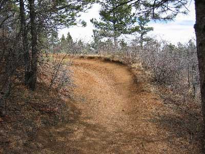 A winding dirt trail surrounded by trees and sparse vegetation, leading into a forested area. The trail is lined with fallen leaves and has a gentle curve. Stratton Open Space / The Chutes mountain bike trail.