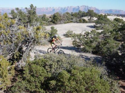 A mountain biker navigating a rocky trail surrounded by shrubs and trees, with mountains visible in the background. Gooseberry Mesa mountain bike trail.
