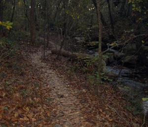 A narrow dirt path winding through a wooded area, with fallen leaves on the ground and a stream visible on the right side, surrounded by trees. Yellow River mountain bike trail.