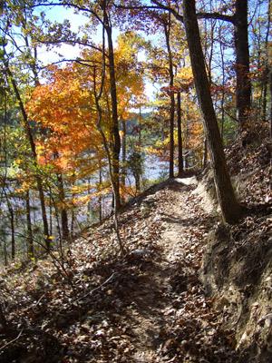 A scenic hiking trail surrounded by autumn foliage, featuring trees with vibrant orange and yellow leaves. The path winds along a hillside overlooking a body of water, with fallen leaves covering the ground and a clear blue sky visible through the branches. Blankets Creek mountain bike trail.