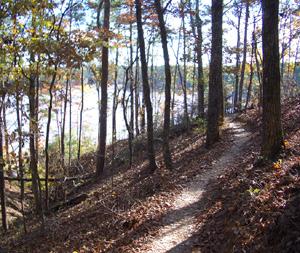 A winding dirt path through a wooded area with colorful autumn leaves, leading to a view of a river or lake in the distance. Sunlight filters through the trees, creating dappled shadows on the trail. Blankets Creek mountain bike trail.