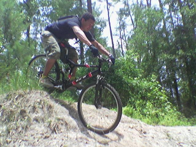 A cyclist wearing a black shirt and shorts is riding a mountain bike, leaning forward as he descends a sandy incline surrounded by lush green trees. Tillie Fowler Regional Park mountain bike trail.
